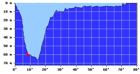 DiveProfile