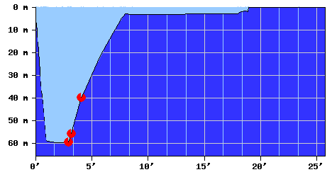 DiveProfile