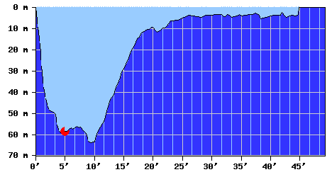 DiveProfile