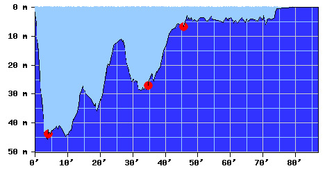 DiveProfile
