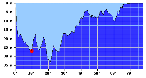 DiveProfile