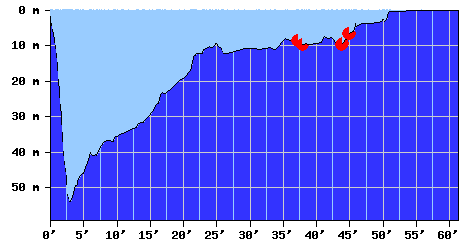DiveProfile