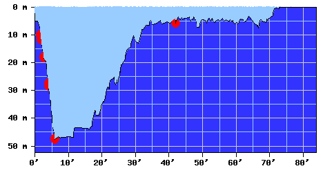 DiveProfile