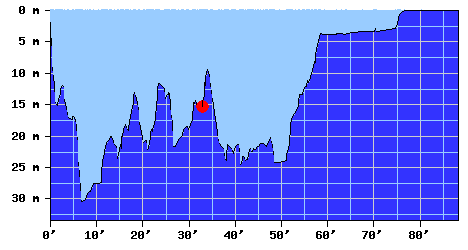 DiveProfile